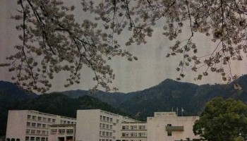 柏原高校